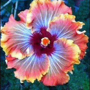 Meet your Posher, Faith